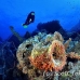 numidia_bro_b_h_0268_egy0630.jpg